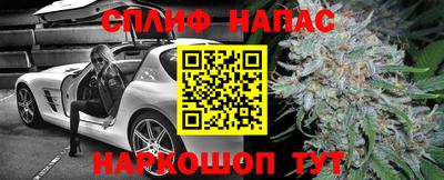 прущие грибы Берёзовский