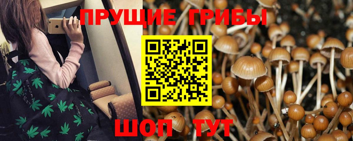 Галлюциногенные грибы Cubensis  Вход с VPN  Избербаш  Галлюциногенные грибы Psilocybe 
